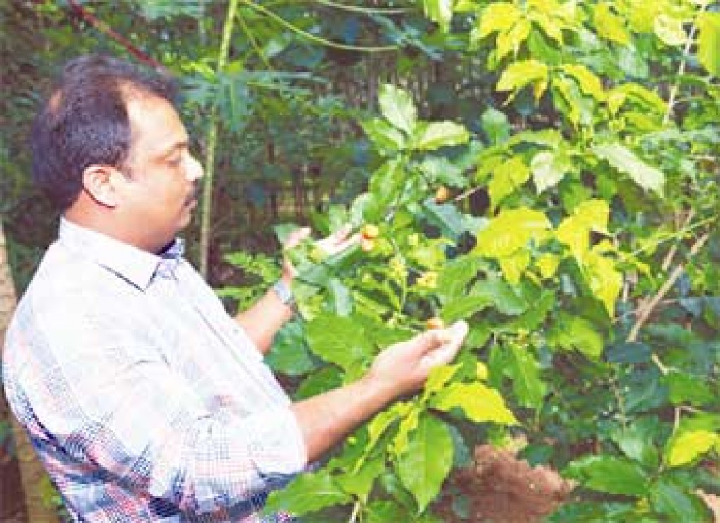 ലോകത്തുതന്നെ അപൂര്വമായിട്ടുള്ള പഴവര്ഗങ്ങളുടെയും ഔഷധസസ്യങ്ങളുടെയും ശേഖരം